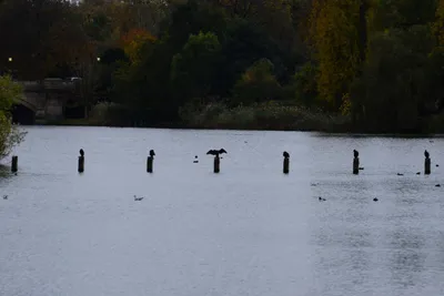 DSC_0550 (Large).JPG